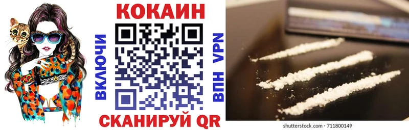 где купить наркотик  Костомукша  COCAIN Fish Scale 