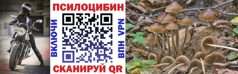 даркнет состав  Костомукша  Галлюциногенные грибы Magic Shrooms  что такое наркотик 