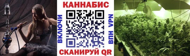 блэк спрут как войти Костомукша Шишки марихуана VHQ